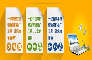 長寧區(qū)萬詞快排招商代理加盟