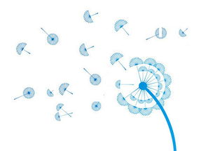 攜手長(zhǎng)春網(wǎng)站建設(shè)，打造企業(yè)專(zhuān)屬的數(shù)字化門(mén)戶(hù)